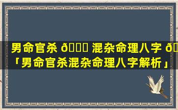 男命官杀 💐 混杂命理八字 🦅 「男命官杀混杂命理八字解析」